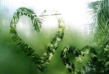 上海报批报建是做什么的